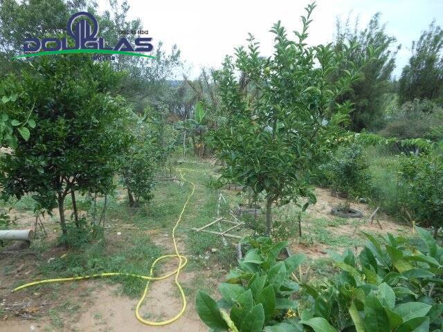 Casa, 2 quartos - Foto 29