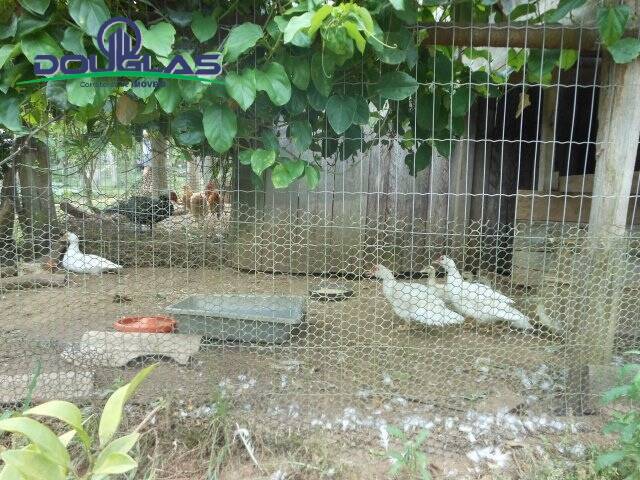 Casa, 2 quartos - Foto 31