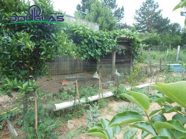 Casa, 2 quartos - Foto 32