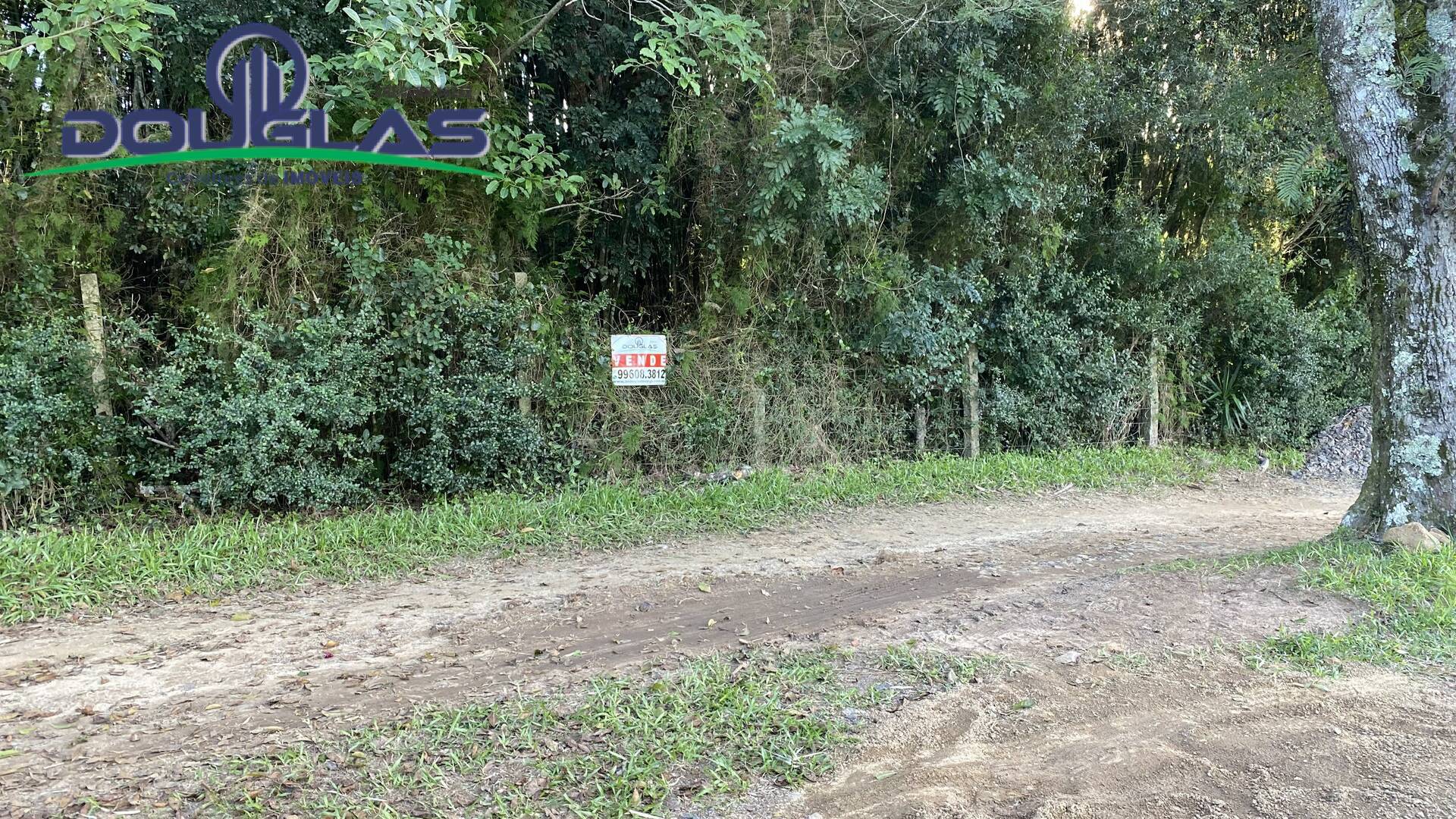 Terreno, 1600 m² - Foto 4