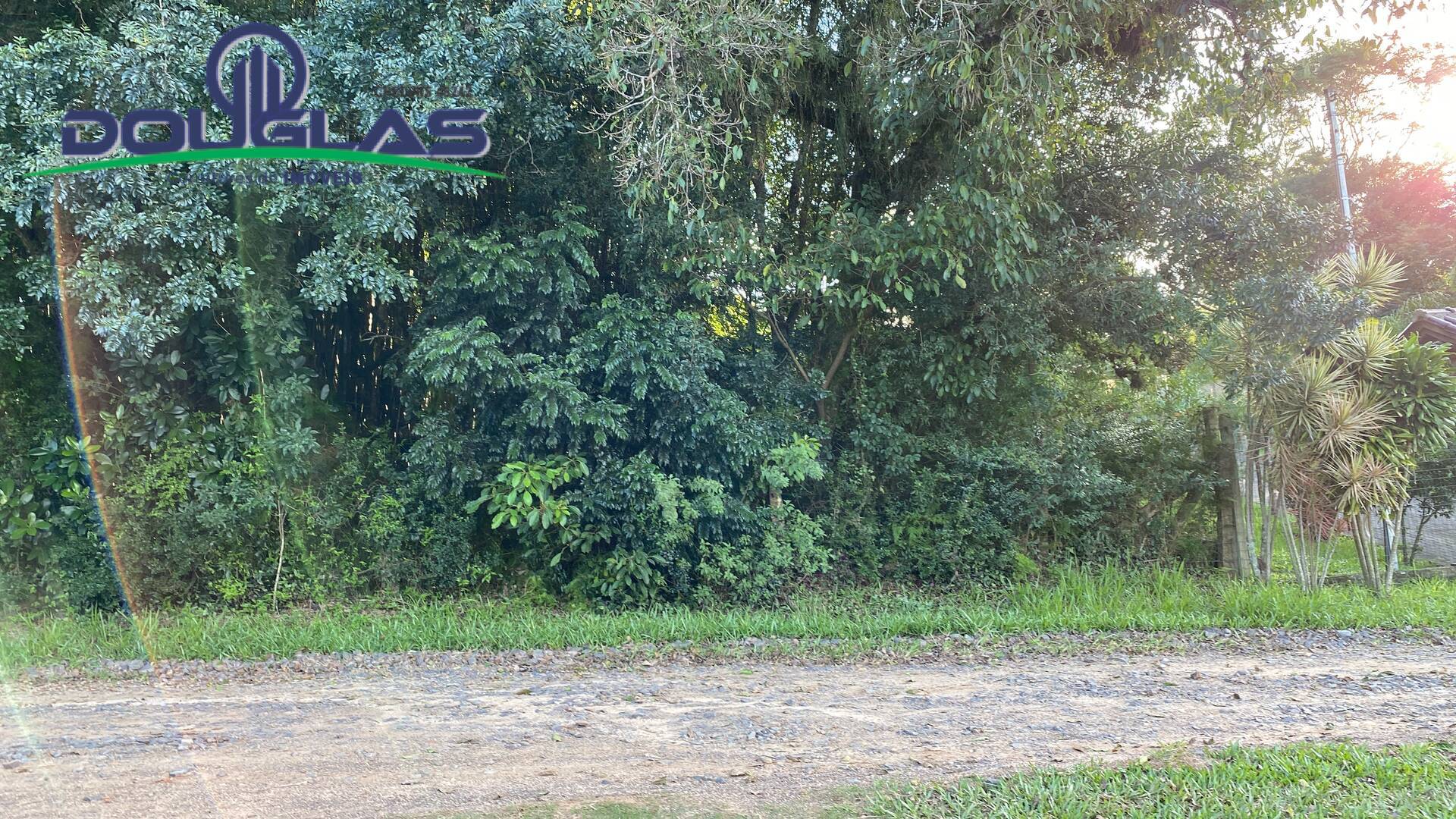 Terreno, 1600 m² - Foto 9