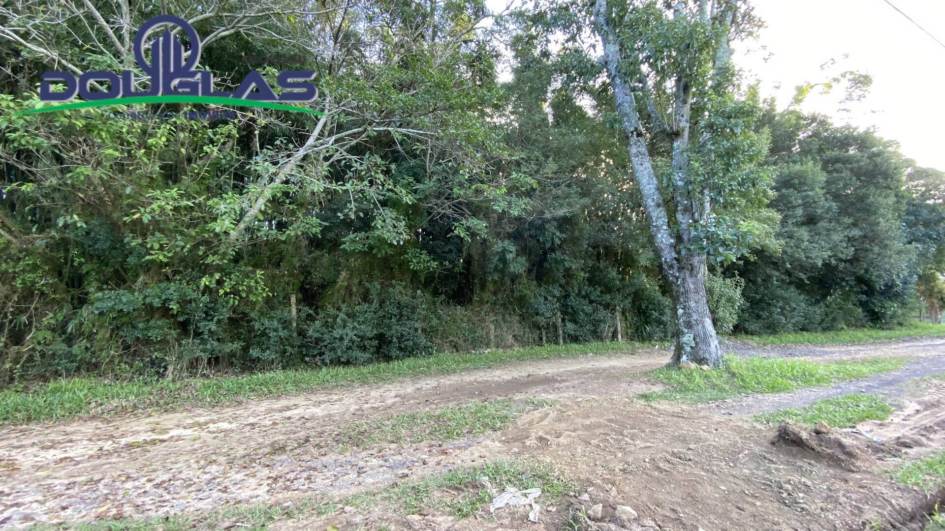 Terreno, 1600 m² - Foto 10