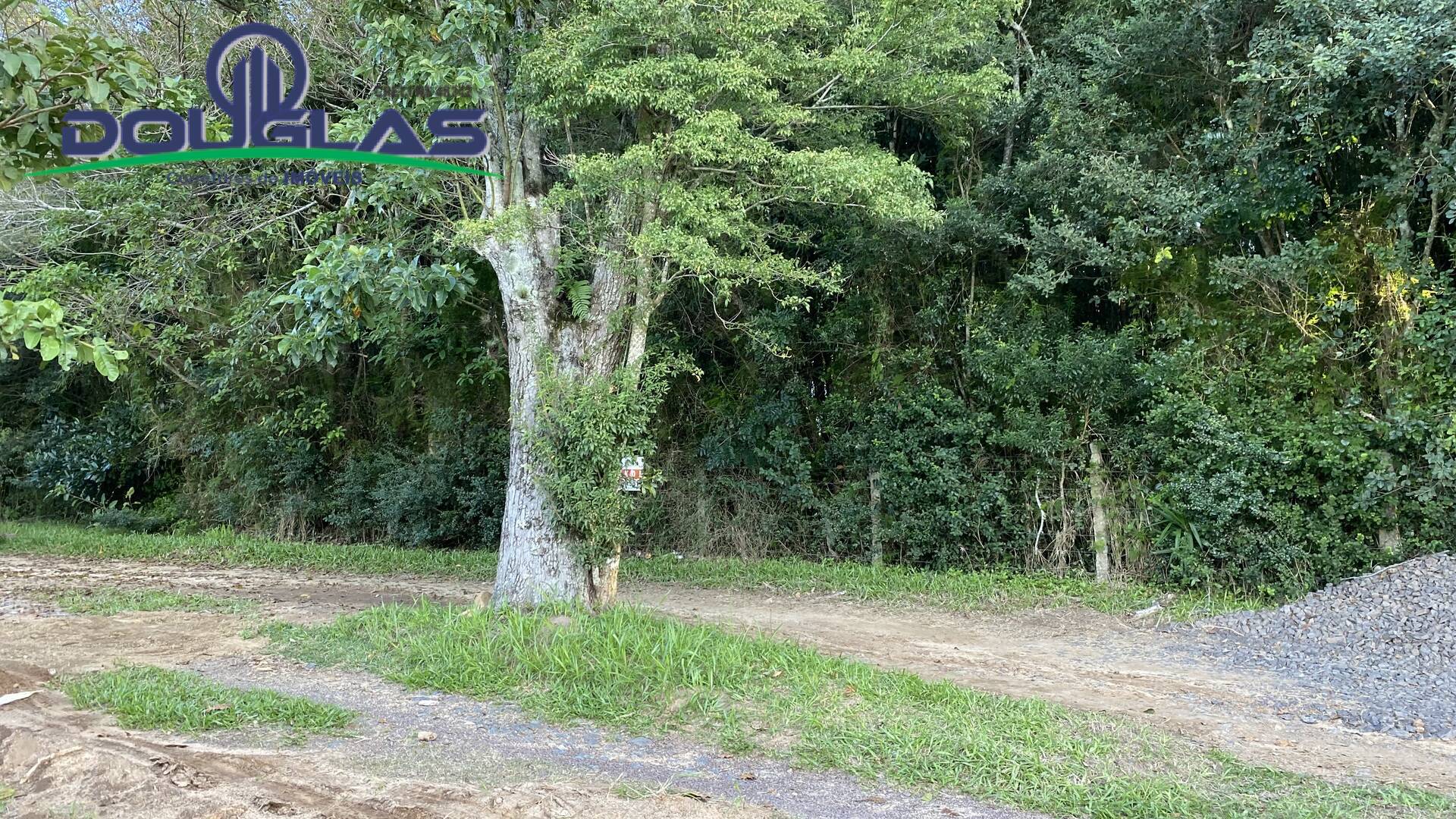 Terreno, 1600 m² - Foto 11