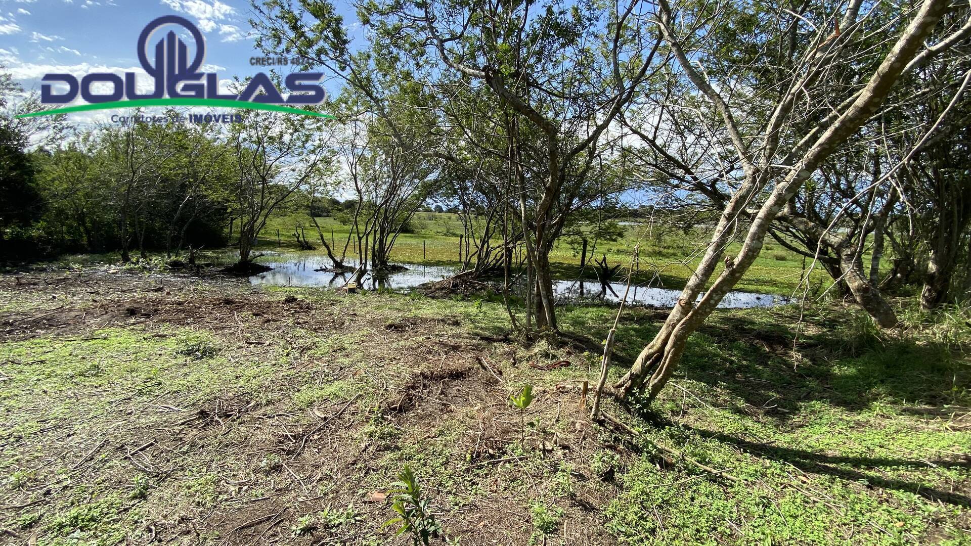 Terreno, 2280 m² - Foto 11