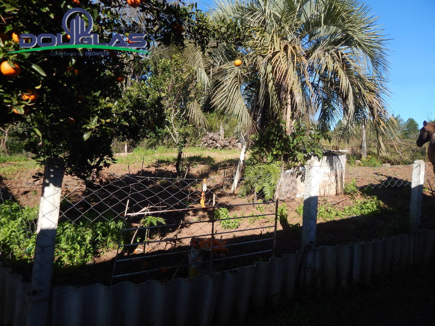 Casa, 3 quartos, 300 m² - Foto 54