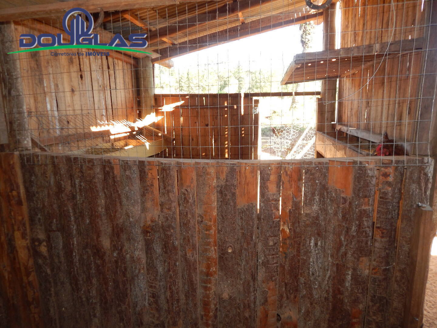 Casa, 3 quartos, 300 m² - Foto 38