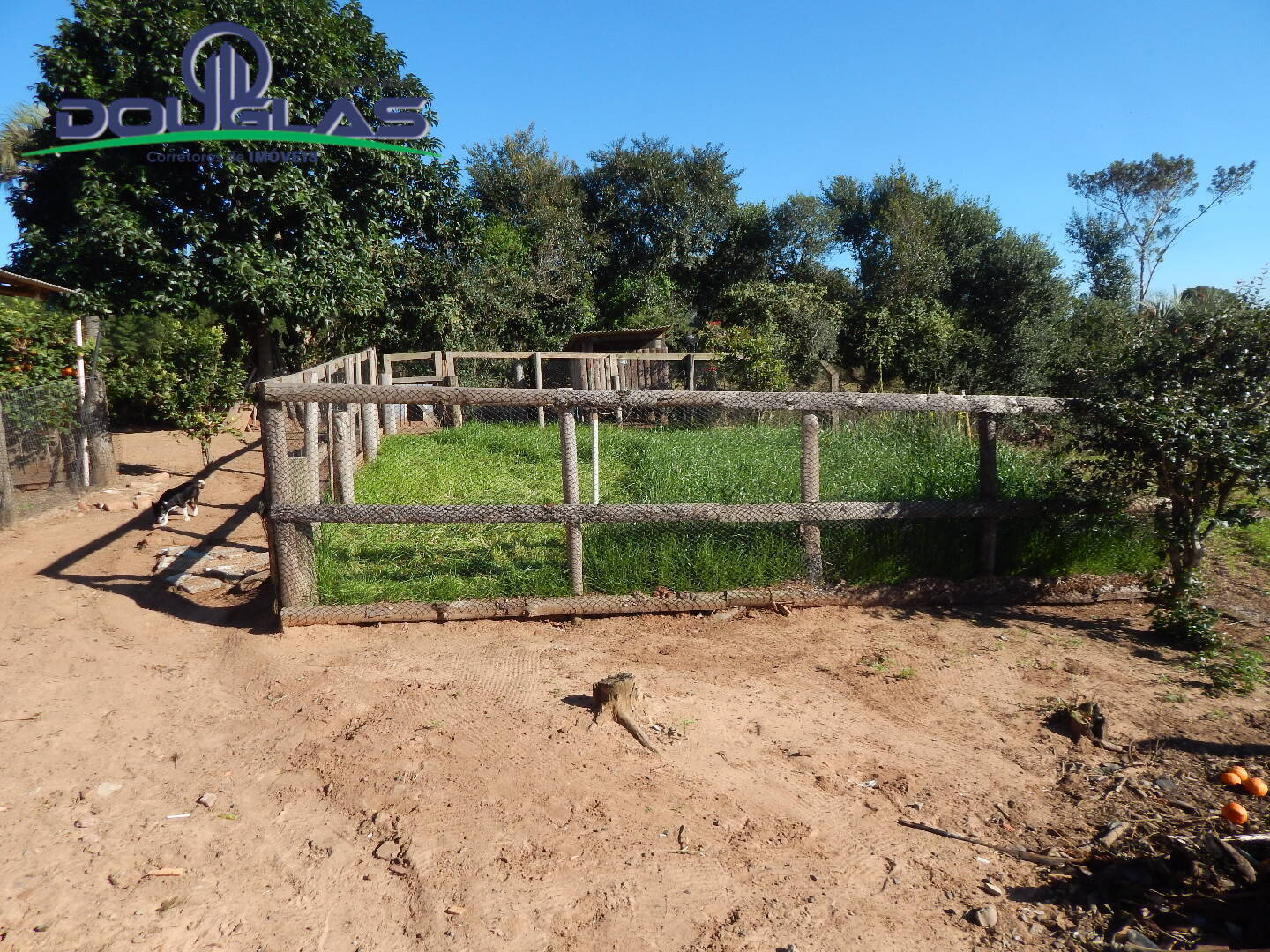 Casa, 3 quartos, 300 m² - Foto 60