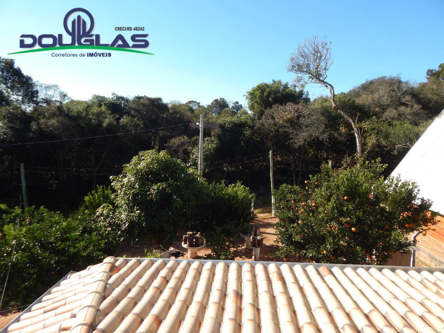 Casa, 3 quartos, 300 m² - Foto 59