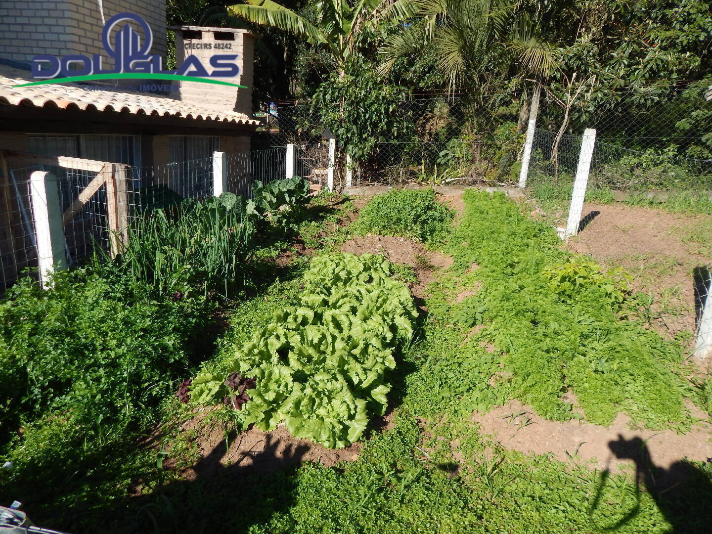 Casa, 3 quartos, 300 m² - Foto 61