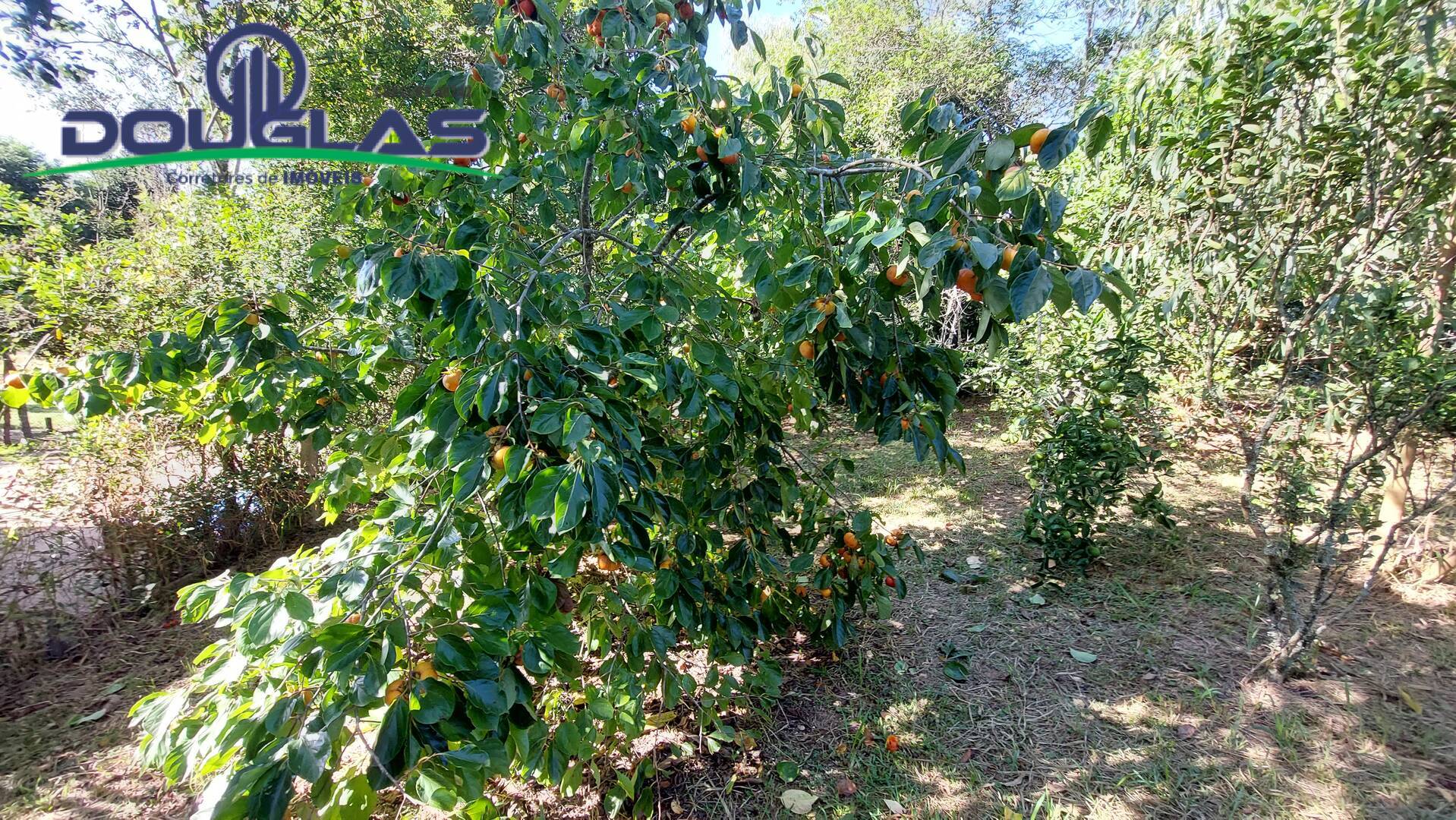 Casa, 2 quartos - Foto 18