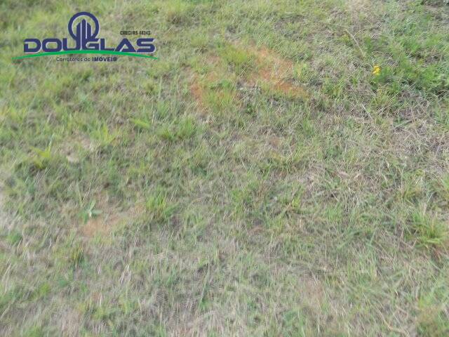 Terreno, 1000 m² - Foto 7