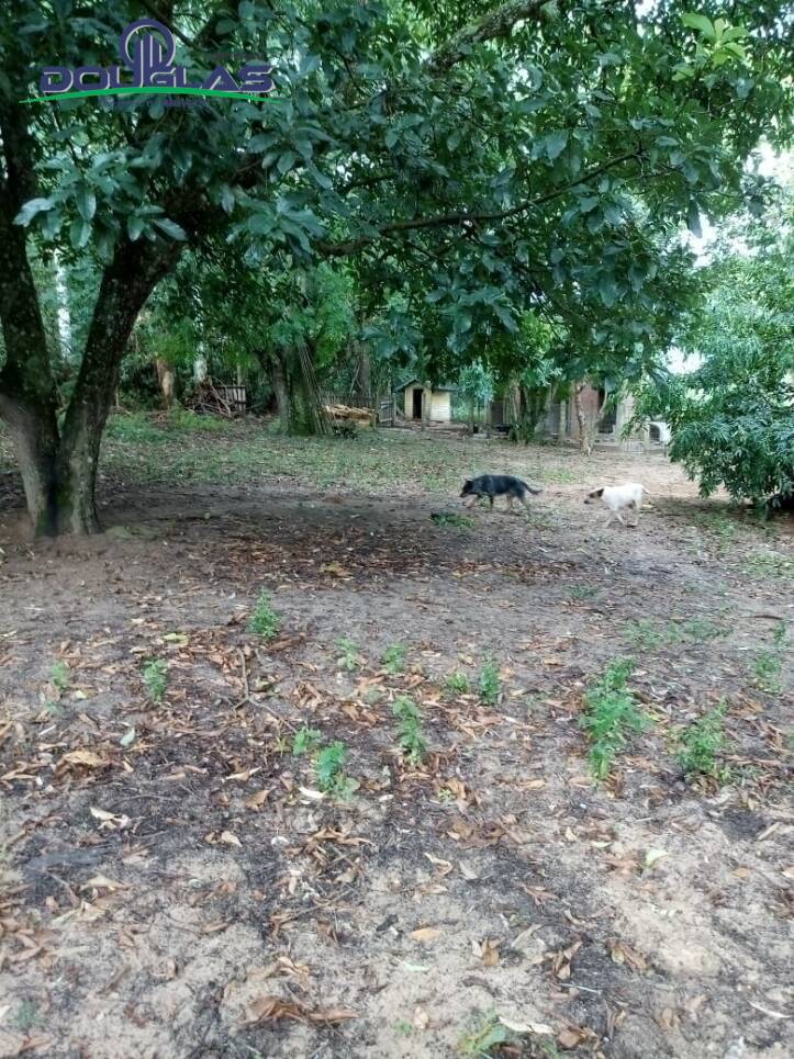 Sítio, 2 quartos - Foto 20