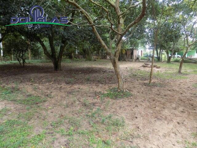 Sítio, 2 quartos - Foto 33