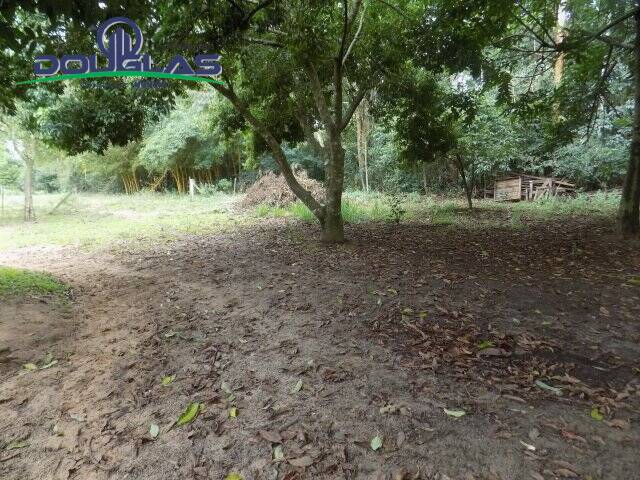 Sítio, 2 quartos - Foto 34