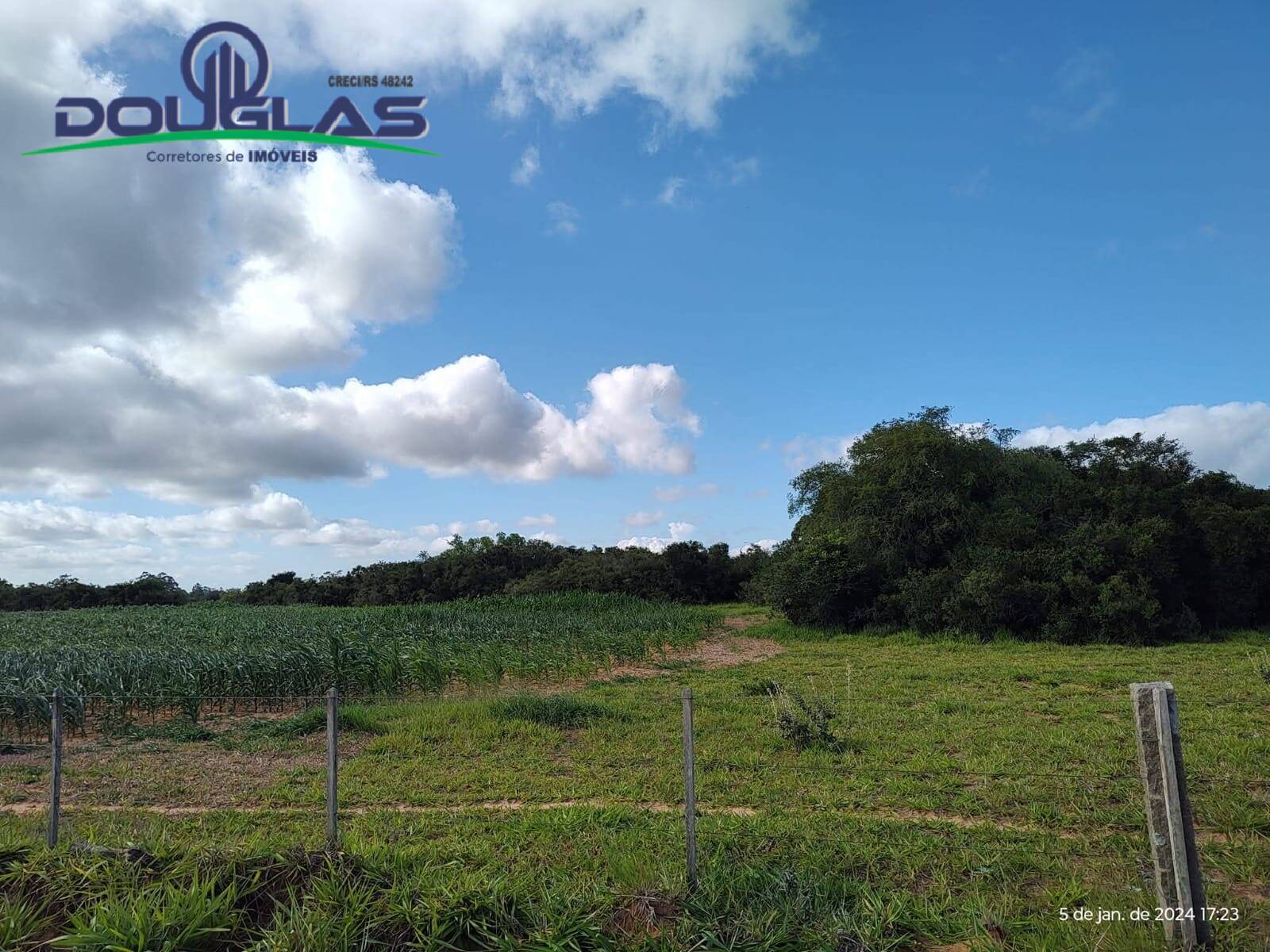 Terreno, 4 hectares - Foto 4