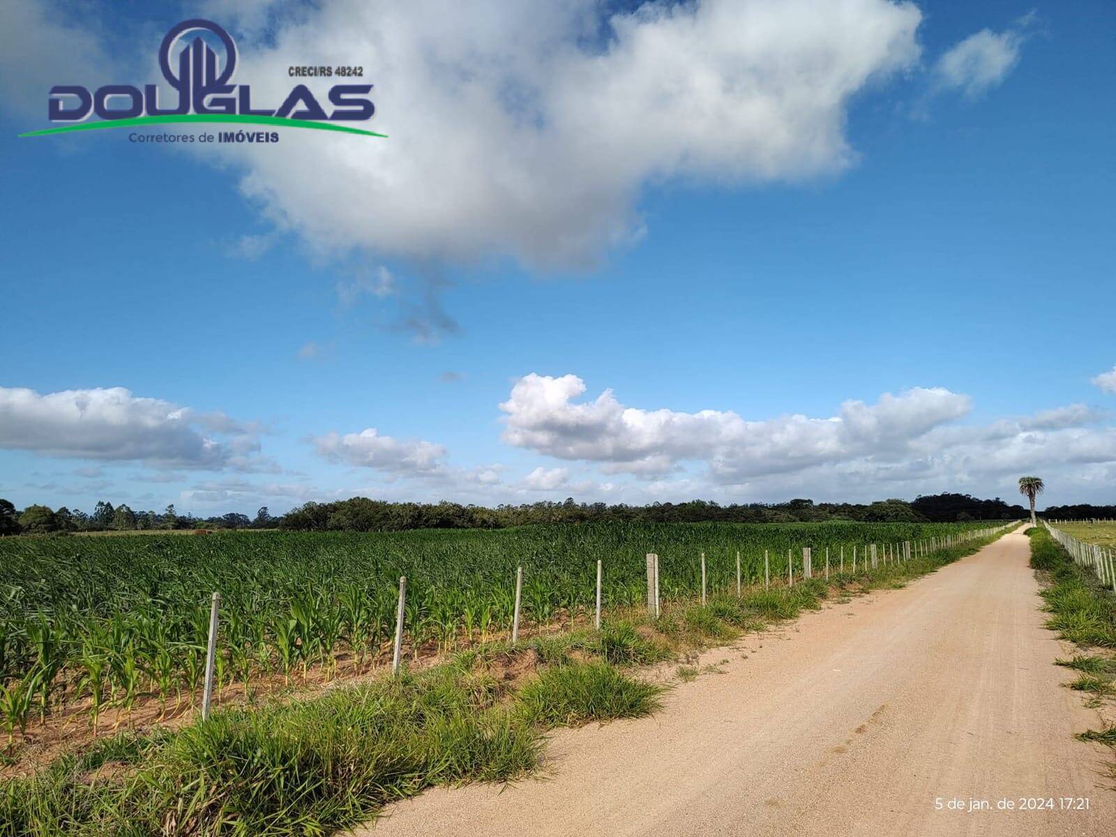 Terreno, 4 hectares - Foto 7