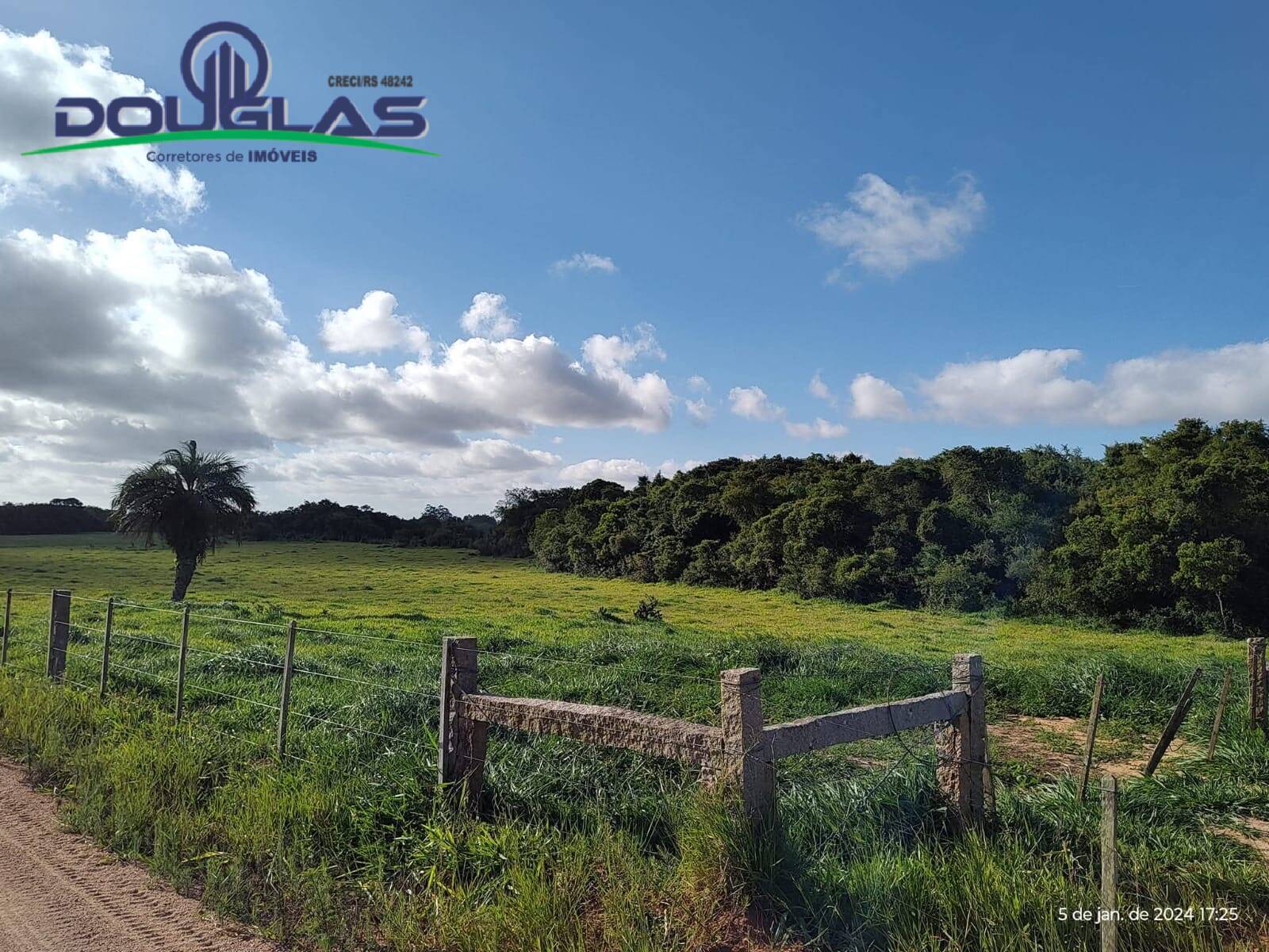 Terreno, 4 hectares - Foto 9