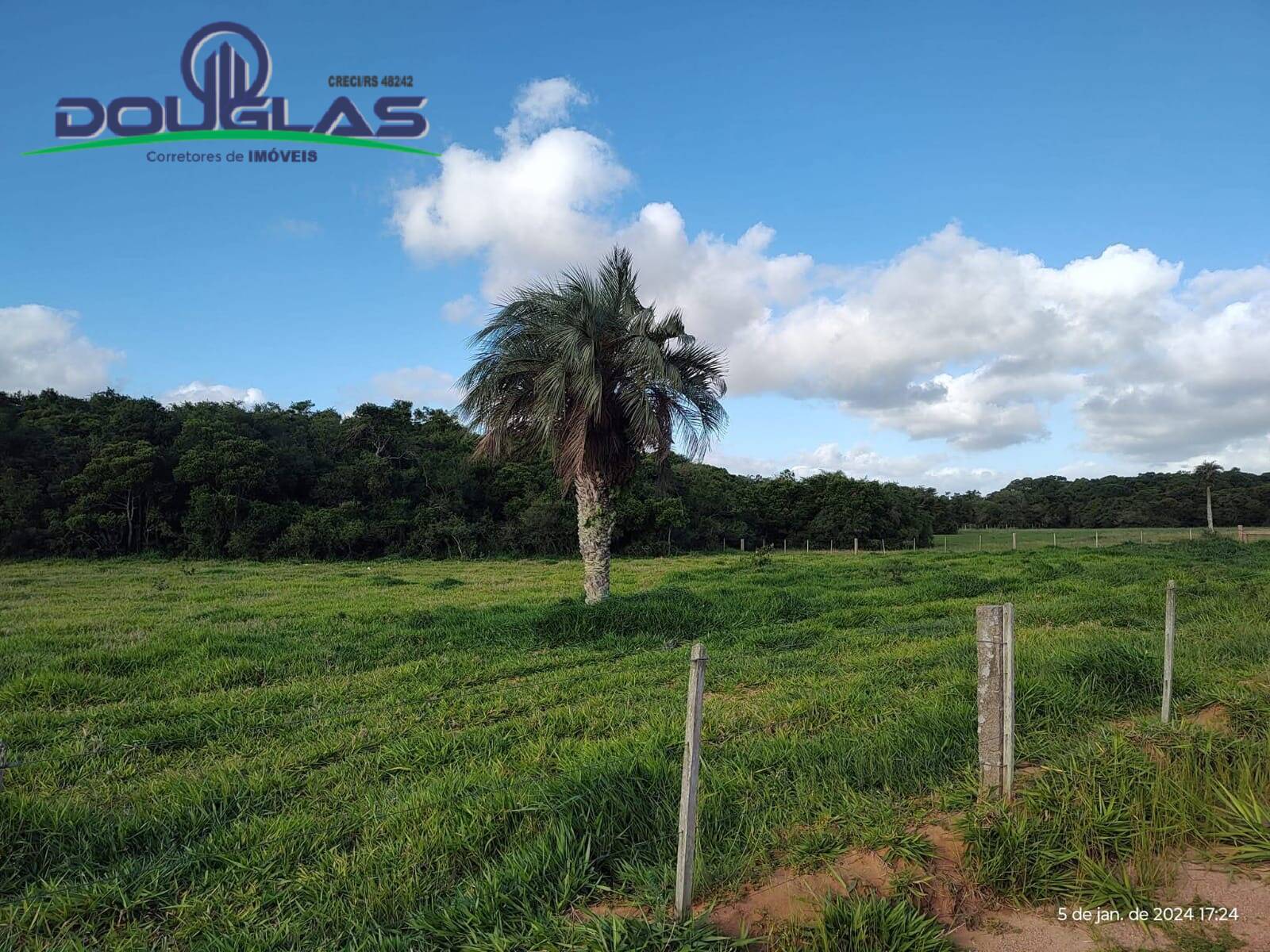 Terreno, 4 hectares - Foto 3