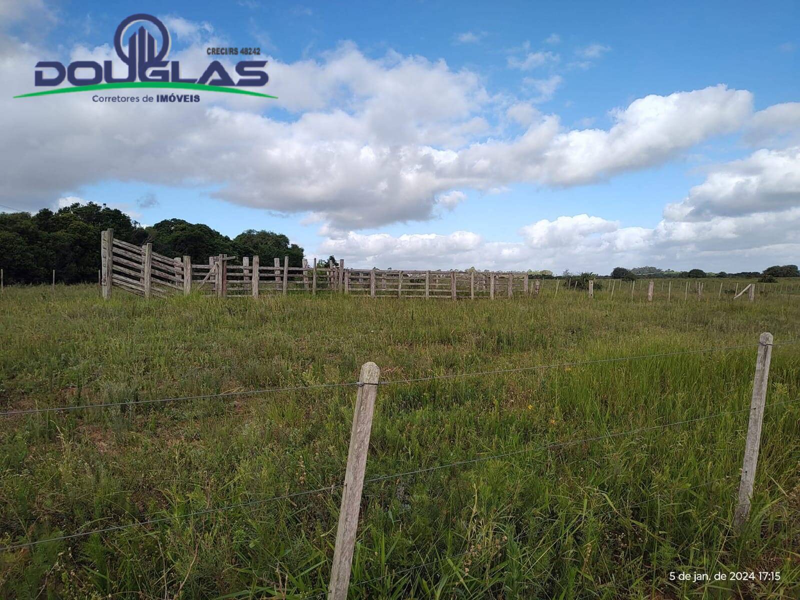 Terreno, 2 hectares - Foto 6