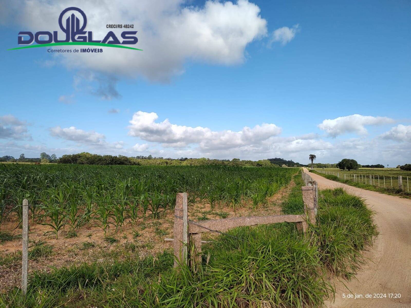 Terreno, 2 hectares - Foto 8