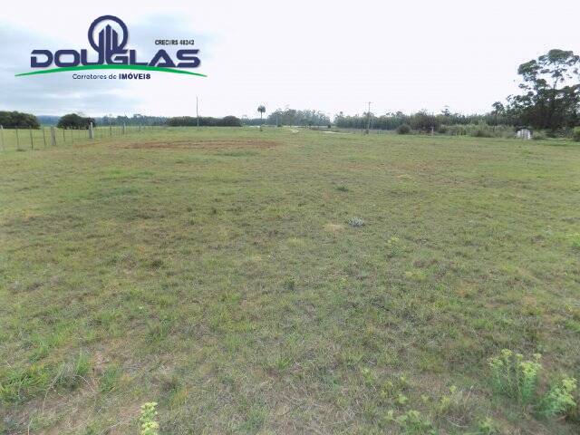 Terreno, 1000 m² - Foto 6