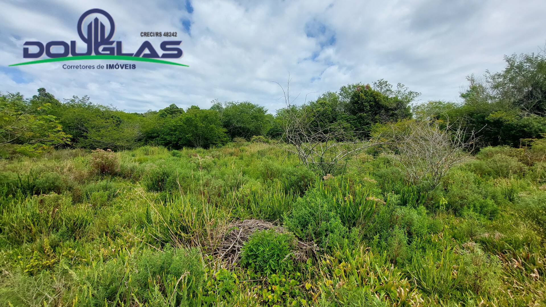 Terreno, 2 hectares - Foto 17